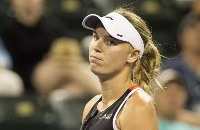 球员在职业 球员在职业