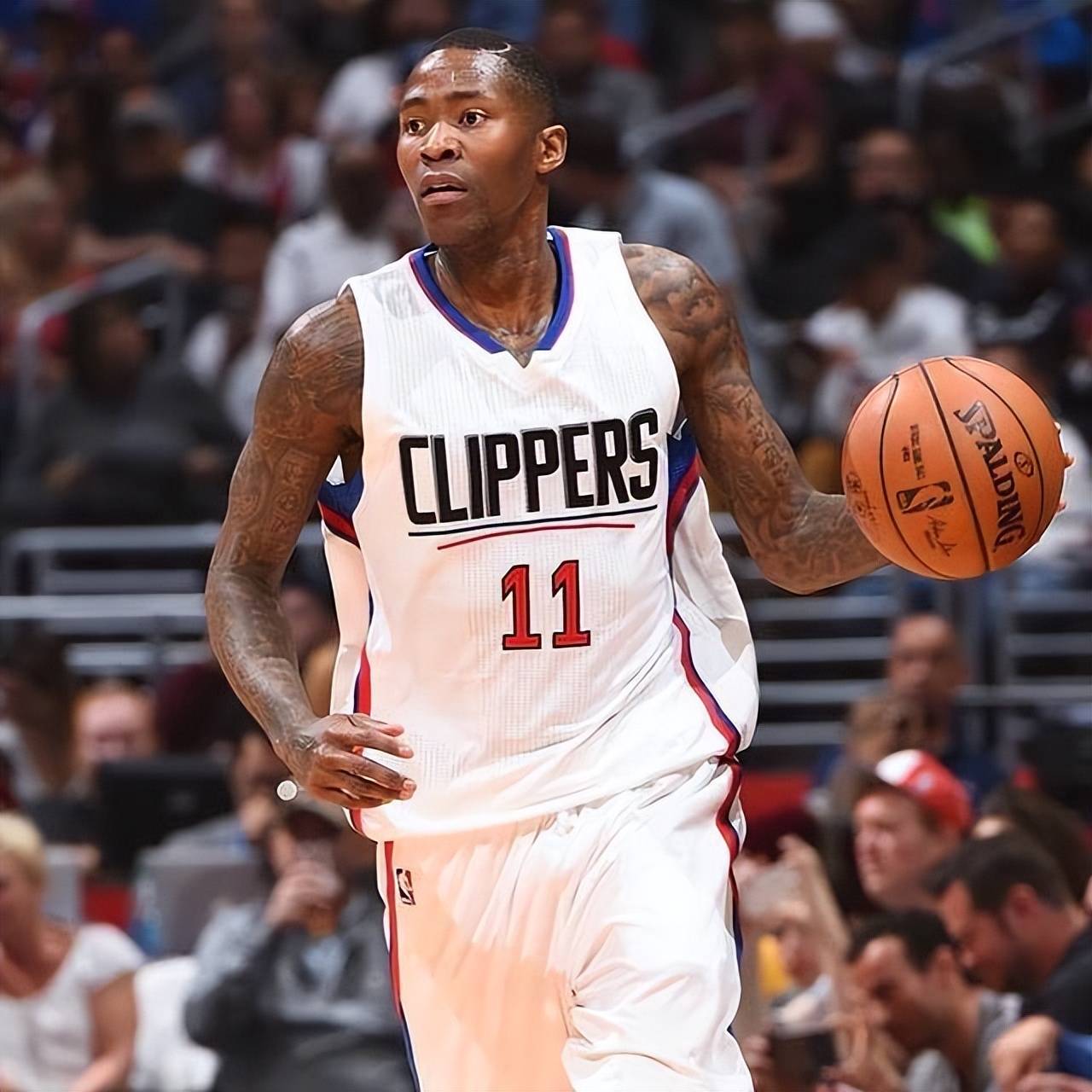 揭开这场精 揭开这场精